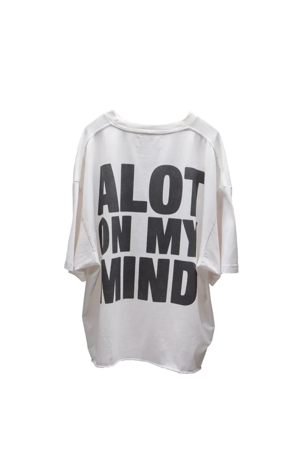 Satoshi Nakamoto A Lot On My Mind Oversized Tee